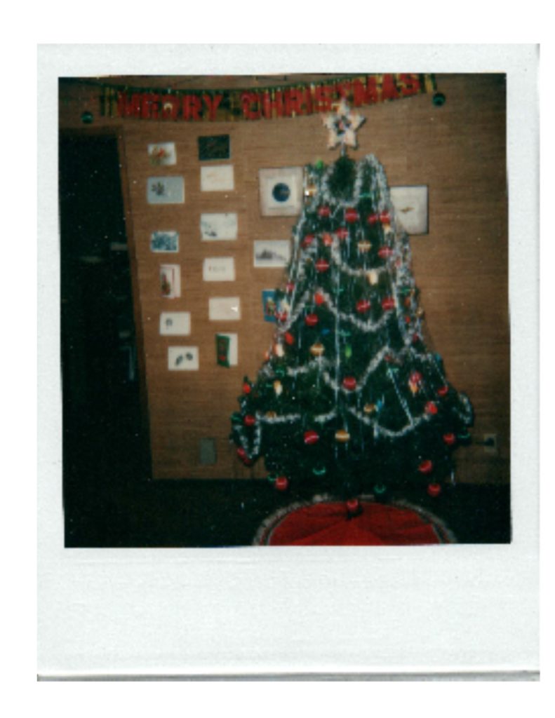 Old Tree1 Old Tree1